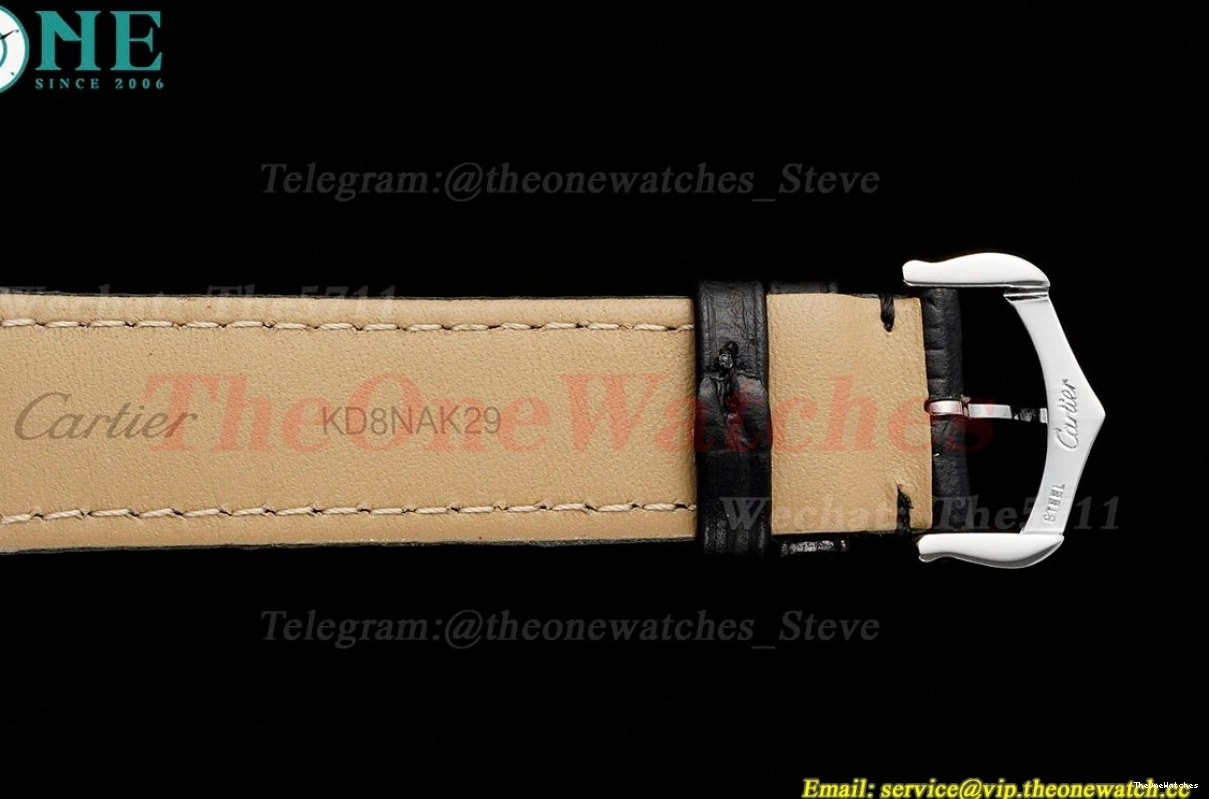 Dial Dumont Quartz Silver Santos Black AF LE RG 0204